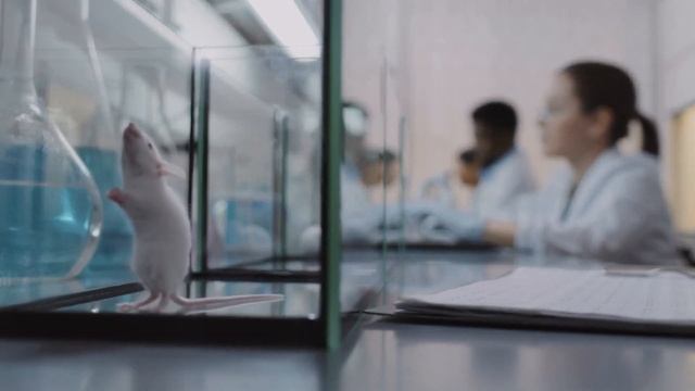 Самые шокирующие гипотезы. Тайны холода, от каких болезней лечит ледяной душ. Аллергия. смотреть онлайн