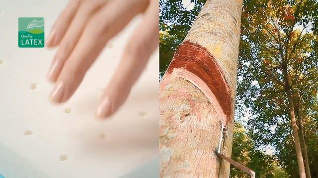 Детский ортопедический матрас Plitex Eco Lat смотреть онлайн