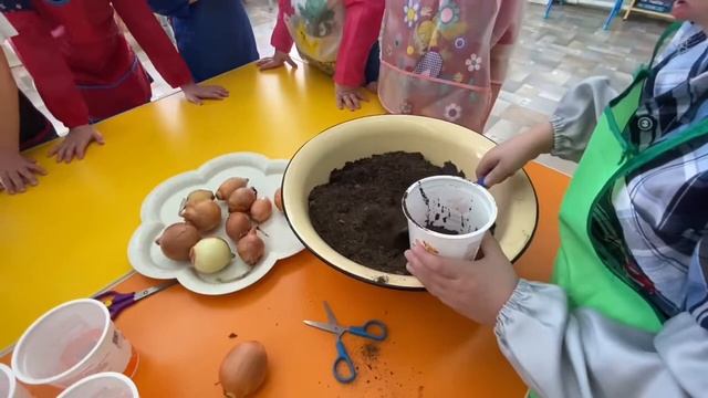 Мастер-класс «Посадка лука» Старшая группа смотреть онлайн