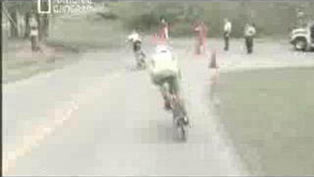 Стероиды повсюду