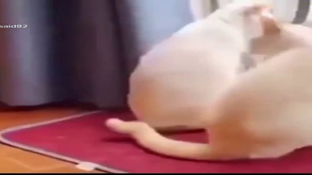 ты что А. смотреть онлайн