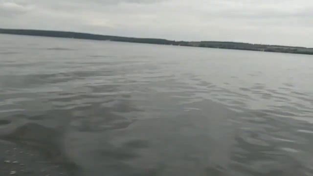 Лесные тропы HD 720p смотреть онлайн