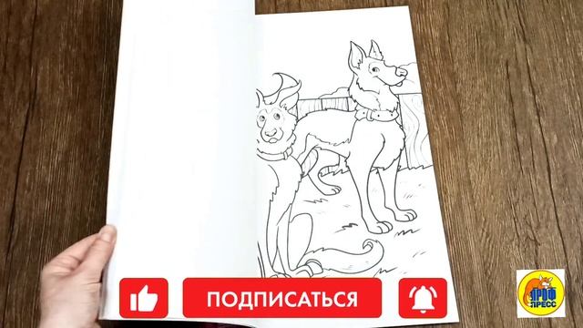 МАКСИ-РАСКРАСКА с наклейками. КОТИКИ И СОБАЧКИ (150 наклеек) смотреть онлайн