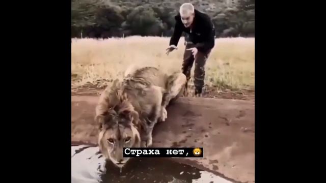 #цитатывидео🔥 #инстаграм #москва #КАЗАХСТАН #БИШКЕК Видео💣 подборка 🔥 смотреть онлайн