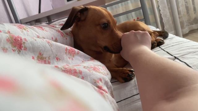 Лежим 3 февраля 2022; 10:51 смотреть онлайн