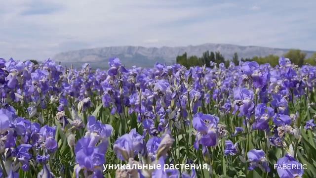 Bloom и Сати Казанова полное видео смотреть онлайн