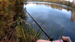 Джеркбейты или воблеры. Нужно ли ловить на джерк? UltraStas