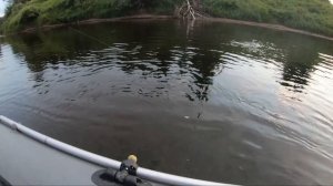 Сплав по рекам Архангельской области