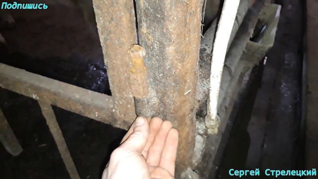 Клетка для опороса, фиксация свиноматки, подготовка свиноматки к опоросу! смотреть онлайн