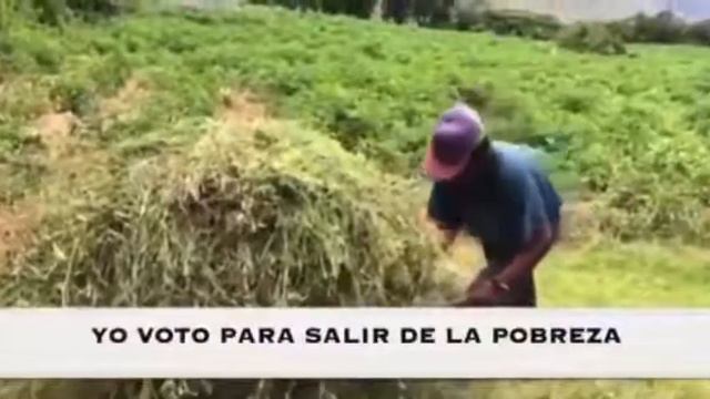 JOVENES AGRICULTORES DEFIENDEN LA LIBERTAD смотреть онлайн