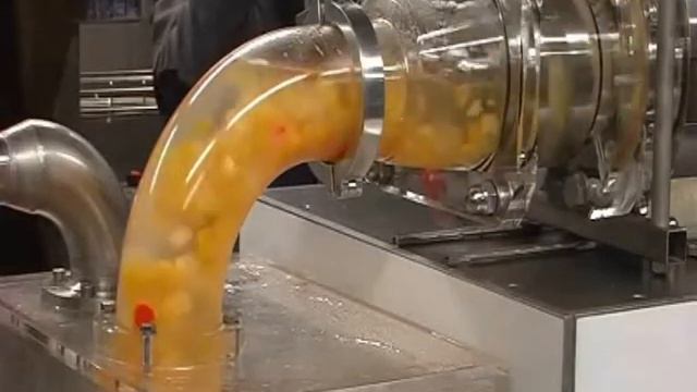 Двухвинтовой насос гигиенической серии SLH от мирового лидера компании Bornemann. Компания ЛОГРУС.