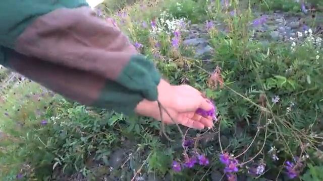 РЫБАЛКА В ЯКУТИИ. 4 день 2ч ВЫХОД НА РЕКУ ЛЕНА . ВСТРЕЧА НА КОРАБЛЕ смотреть онлайн