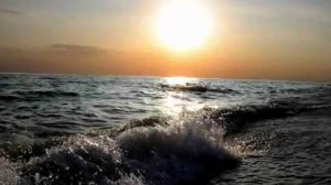 Хвалите Господа с небес_всякое дыхание да хвалит Господа