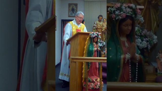 Our Lady of the Rosary смотреть онлайн