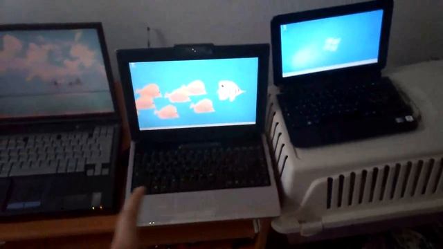 Windows 8 vs Windows XP and Windows XP vs Windows 7 смотреть онлайн