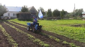 Копаем картошку на адаптере КТЗ 02. Картофелекопалка для мотоблока.