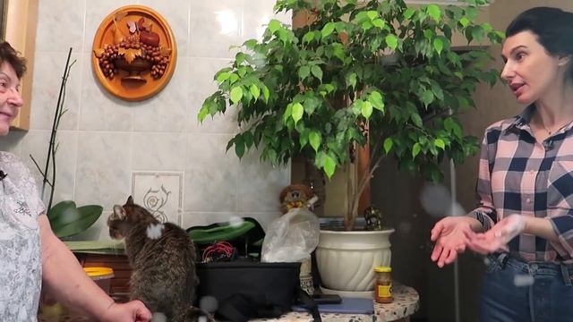 Путешествие в неведомое