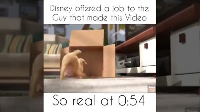 Heart Touching Best Video On The Internet смотреть онлайн