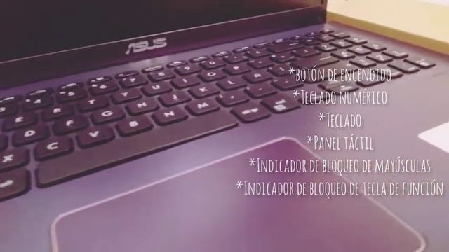 ¿LA MEJOR LAPTOP??Laptop académica de cualquier nivel ¡calidad, rendimiento y precio! ?❤️?? смотреть онлайн
