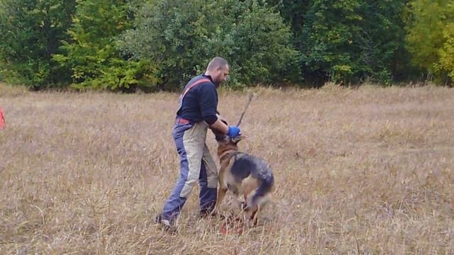 Желя . отпуск , охрана , рядом , атака смотреть онлайн