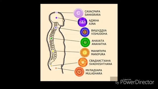 Мысли, Слова, Поступки, Действия Все в этом мире находятся под их прицелом, под их влиянием смотреть онлайн