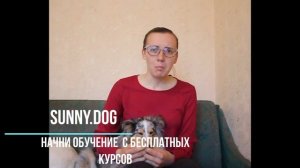 Как подружить собак - щенка и взрослую собаку?(  Лайфаки, которые работают)