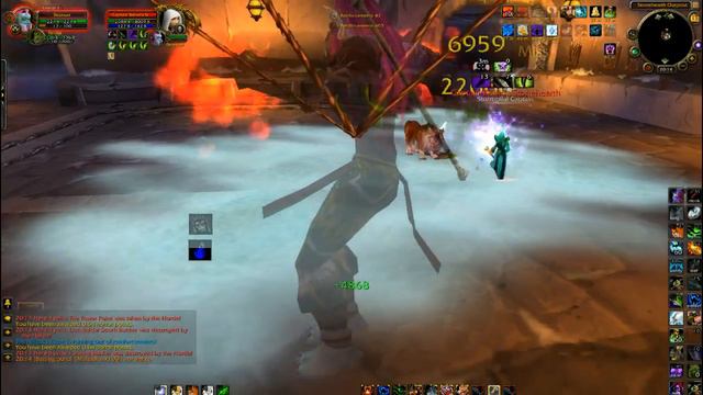 Фул крит ван шот СУРВ охотник катаклизм. Билд и спек. Гайд. Бг трип [World of Warcraft] смотреть онлайн