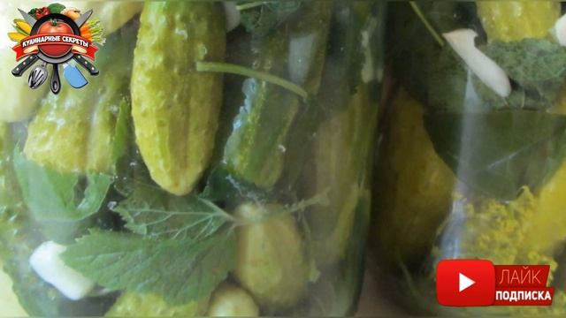 Для чего кладут листья смородины в огурцы: хитрость, о которой не знают молодые хозяйки! смотреть онлайн