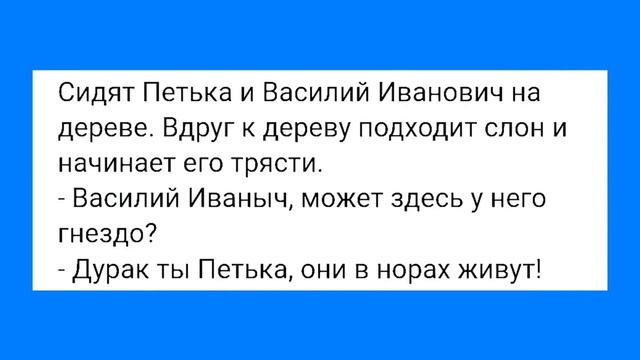 Признаки Лишения Девственности у Мужчин и С@кс для Души!!! Смешная Подборка Анекдотов!!! смотреть онлайн