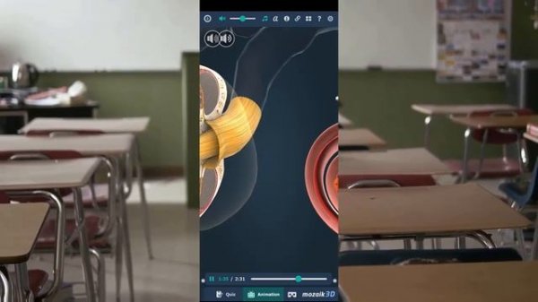 Mozaik 3D  FULL Tutorial | How to use and install the Mozaik 3D App