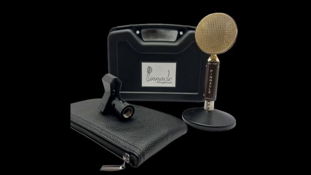 Fat top w Lundahl Vocals 2 смотреть онлайн