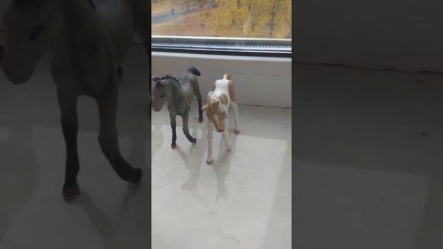 поздравления чудесного канала Арми всегда любят БТС 😻 с днём рождения 😻 смотреть онлайн