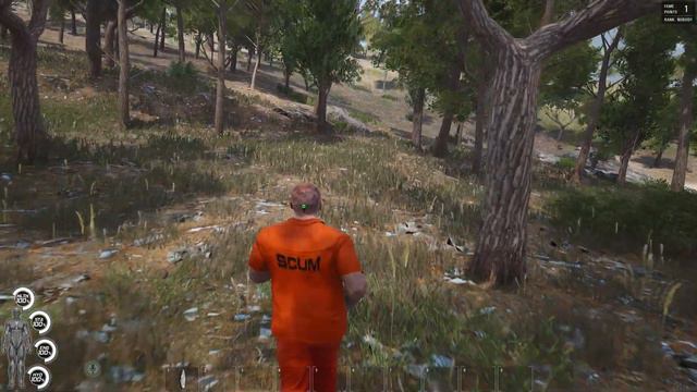 SCUM - Начнем с соло смотреть онлайн