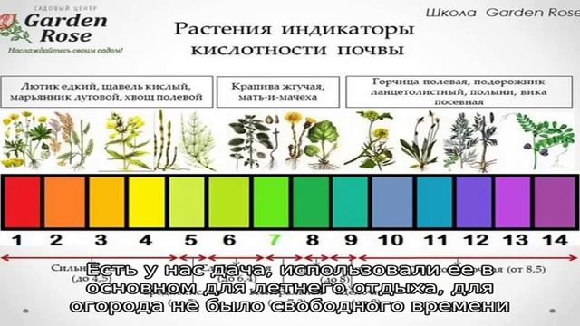 Записи с тегом 'почва' смотреть онлайн