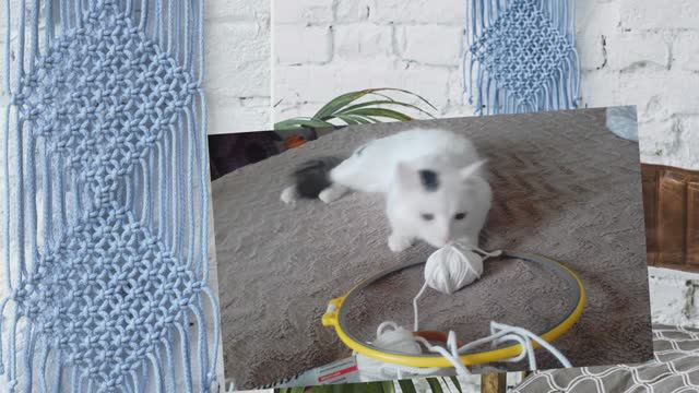 Макрамяу смотреть онлайн