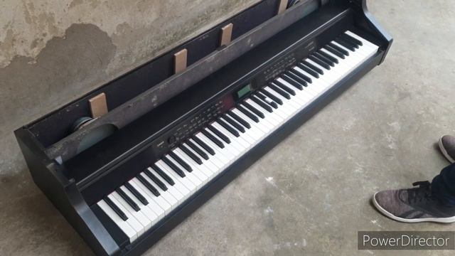 Ants in Piano | Casio AP650 смотреть онлайн