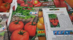 Томат БЕТАЛЮКС. Характеристика томата Беталюкс. Польская селекция.