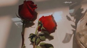 Emiliana - CKay (Slowed + Reverb + Lyrics)