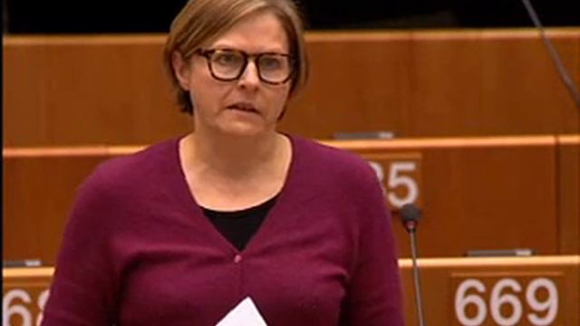 Heidi Hautala on the Situation in Tibet смотреть онлайн