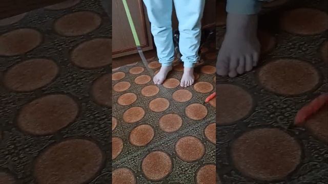 Золото бенгалов, питомник бенгальских кошек Екатеринбург, бенгальские кошки, мраморный кот 3 месяца смотреть онлайн