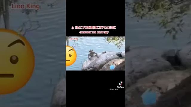 3 настоящих русалок снятых на камеру смотреть онлайн