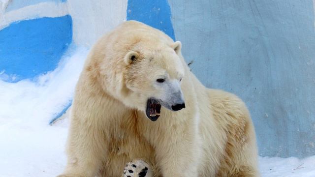 1 год Ростику (фото 07.12.16)