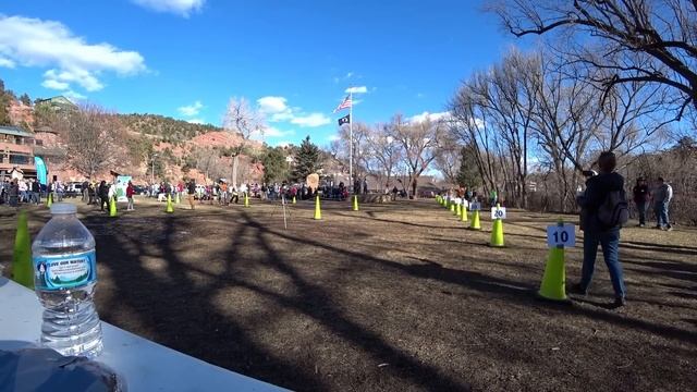 Великое метание пирогов в Колорадо