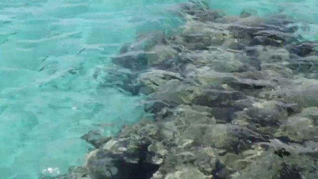 ОБЗОР ОТЕЛЯ GRAVITY SAHL HASHEESH 5 *| HURGHADA|2020