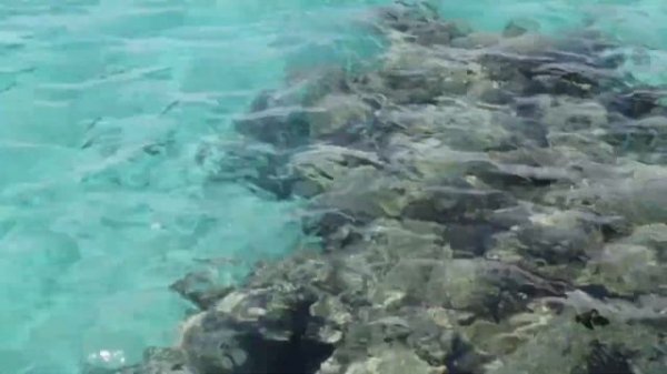 ОБЗОР ОТЕЛЯ GRAVITY SAHL HASHEESH 5 *| HURGHADA|2020