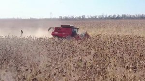 Отзыв покупателя о комбайне Case IH Axial-Flow 9250