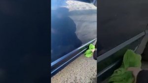 Волшебная тряпочка для мойки машины. Greenway.