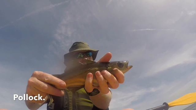 UK Kayak fishing with the Wilderness Tarpon 100 - 2018 смотреть онлайн