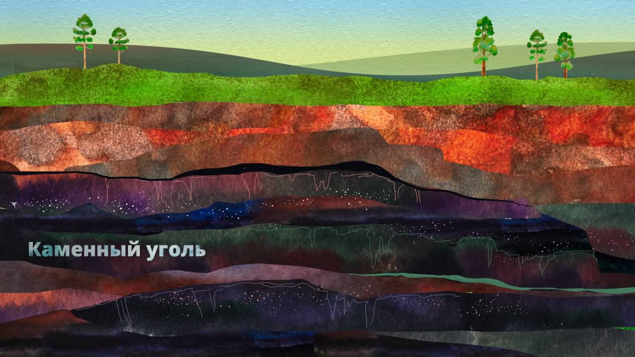 21. Нецветковые растения. Часть 2 смотреть онлайн