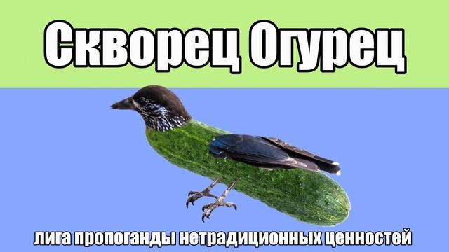 Скворец - Огурец_Starling - Cucumber смотреть онлайн